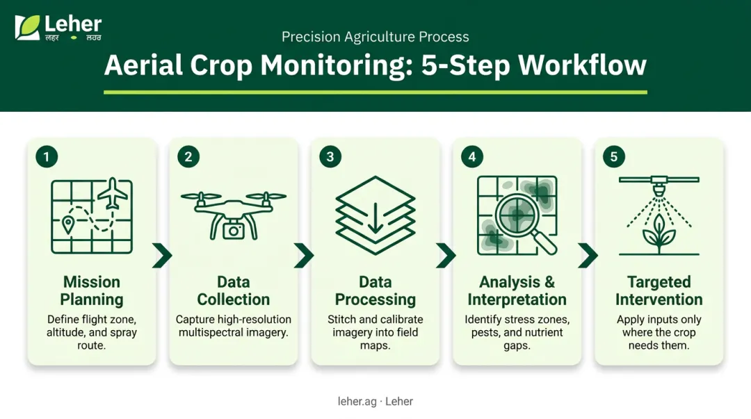 5-step aerial crop monitoring workflow from mission planning to targeted intervention