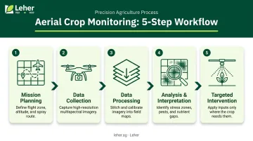 5-step aerial crop monitoring workflow from mission planning to targeted intervention