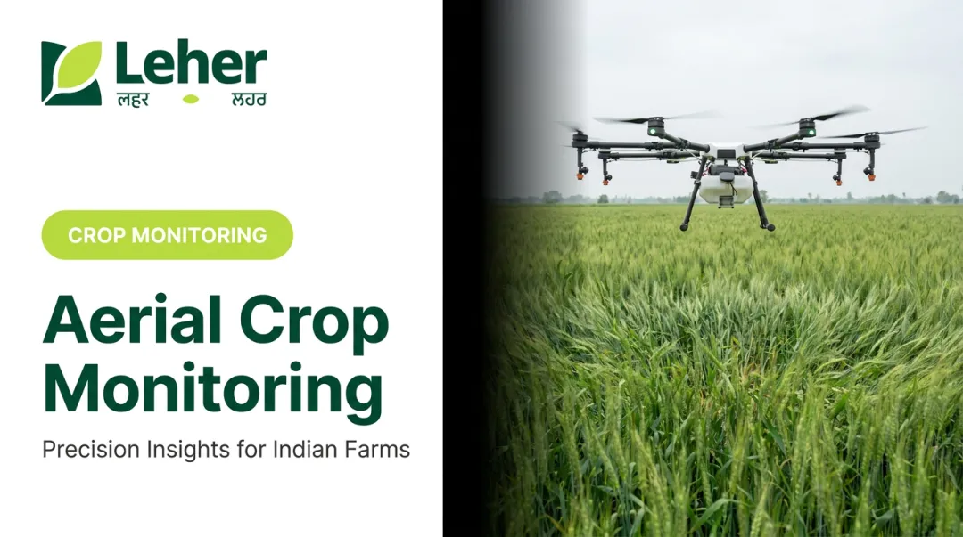 Aerial Crop Monitoring