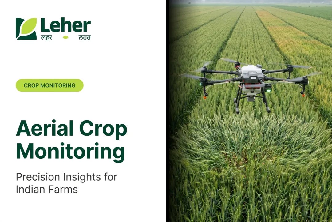 Aerial Crop Monitoring