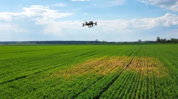 Drone flying over green paddy field capturing aerial crop health imagery