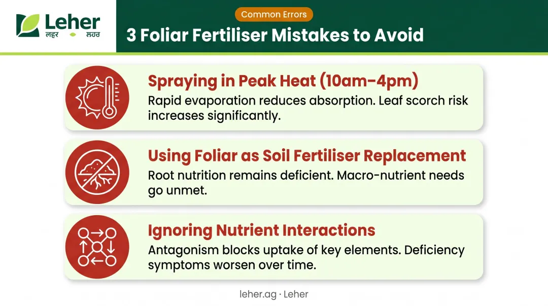 Three critical foliar fertilizer application mistakes Indian farmers should avoid