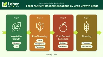 Crop growth stage foliar nutrient timing chart vegetative to ripening