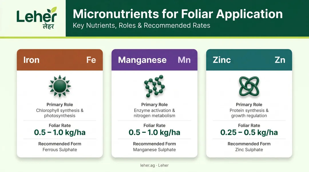 Micronutrient foliar application comparison table iron zinc manganese rates and forms