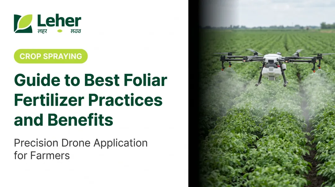 Guide to Best Foliar Fertilizer Practices and Benefits
