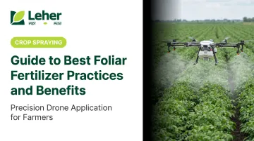 Guide to Best Foliar Fertilizer Practices and Benefits