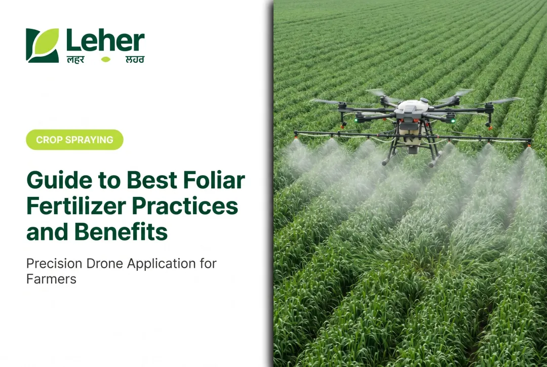 Guide to Best Foliar Fertilizer Practices and Benefits
