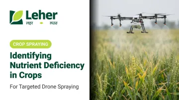 Identifying Nutrient Deficiency in Crops