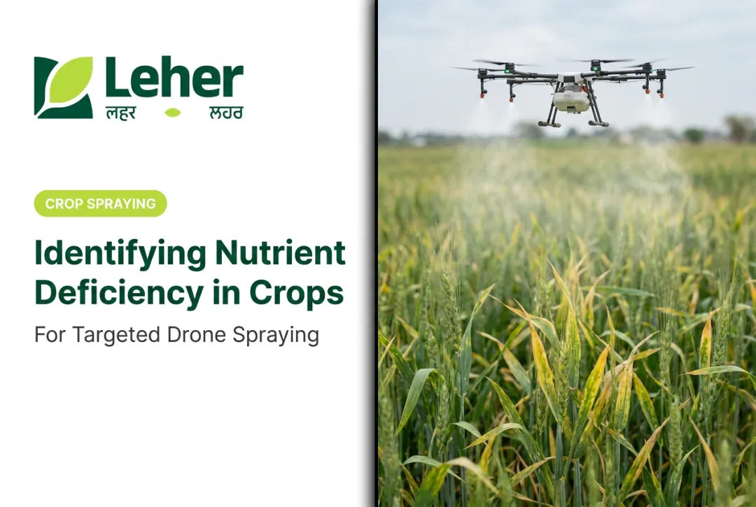 Identifying Nutrient Deficiency in Crops