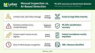 Manual versus AI crop disease detection accuracy and scalability comparison infographic