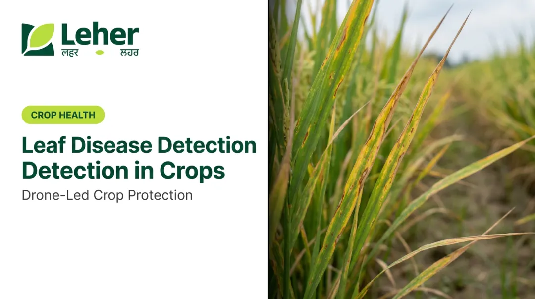 Leaf Disease Detection in Crops