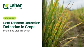 Leaf Disease Detection in Crops