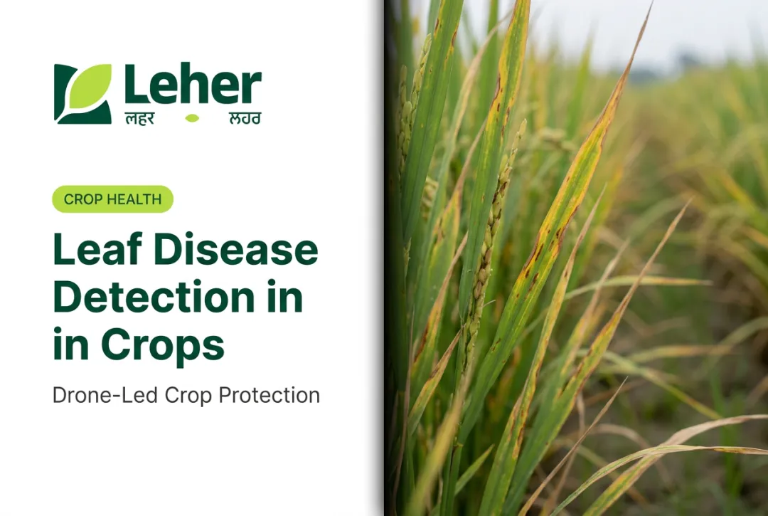 Leaf Disease Detection in Crops