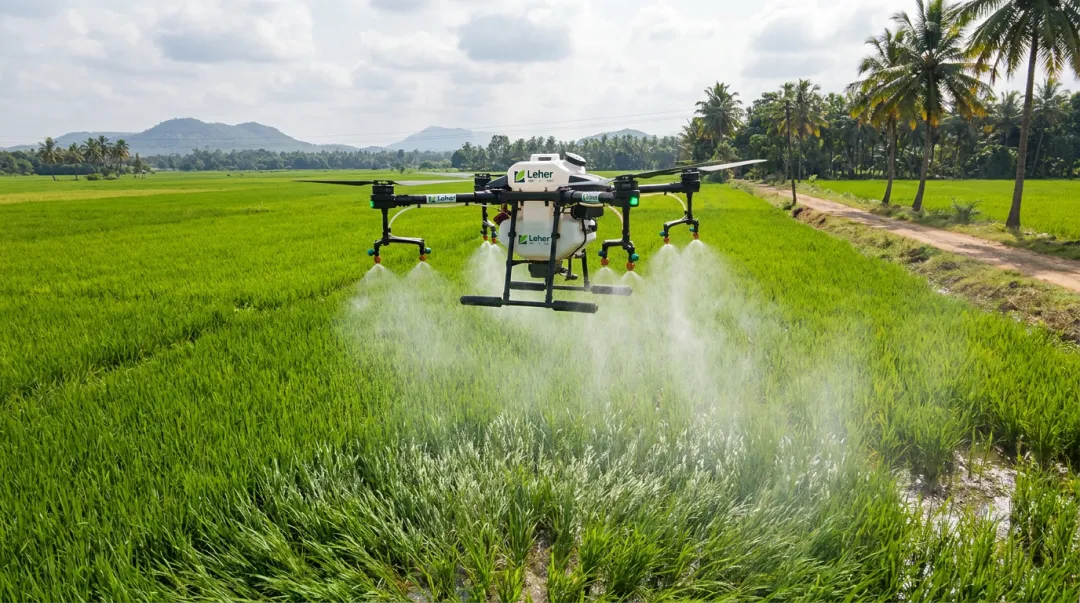 Leher drone spraying service operating over Indian paddy crop field