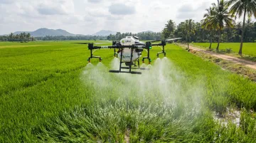 Leher drone spraying service operating over Indian paddy crop field