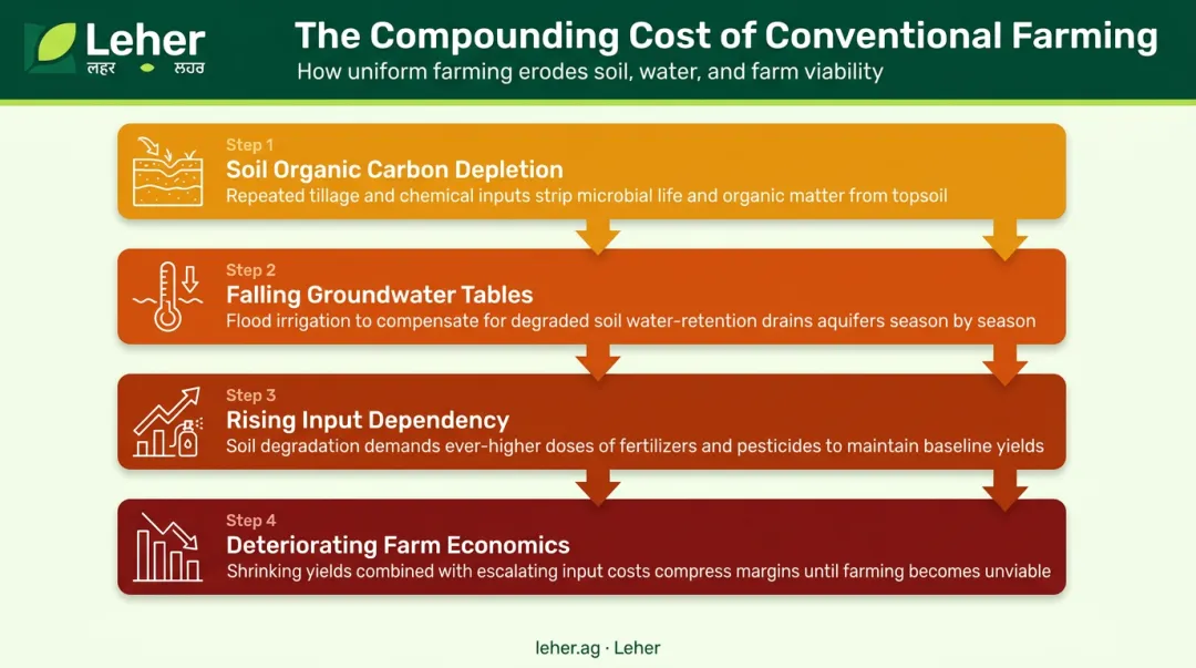 Four cascading consequences of ignoring precision agriculture on Indian farms