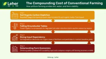 Four cascading consequences of ignoring precision agriculture on Indian farms
