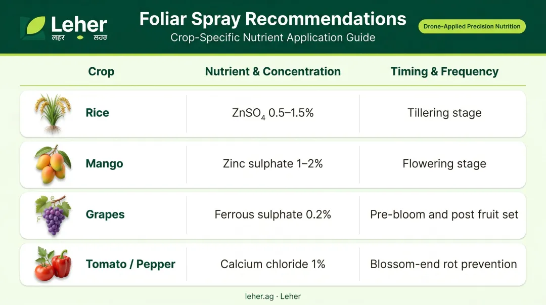 Crop-specific foliar spray dosage and timing guide for Indian farmers
