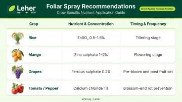 Crop-specific foliar spray dosage and timing guide for Indian farmers