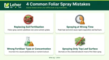 Four common foliar fertiliser application mistakes farmers must avoid