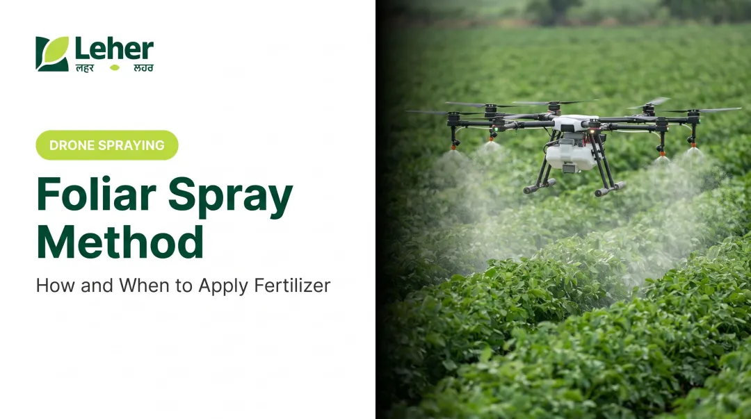 Foliar Spray Method: How and When to Apply Fertilizer