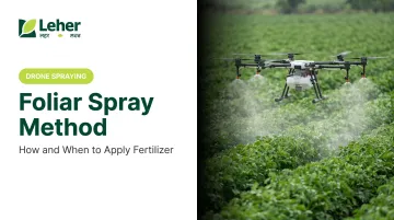 Foliar Spray Method: How and When to Apply Fertilizer