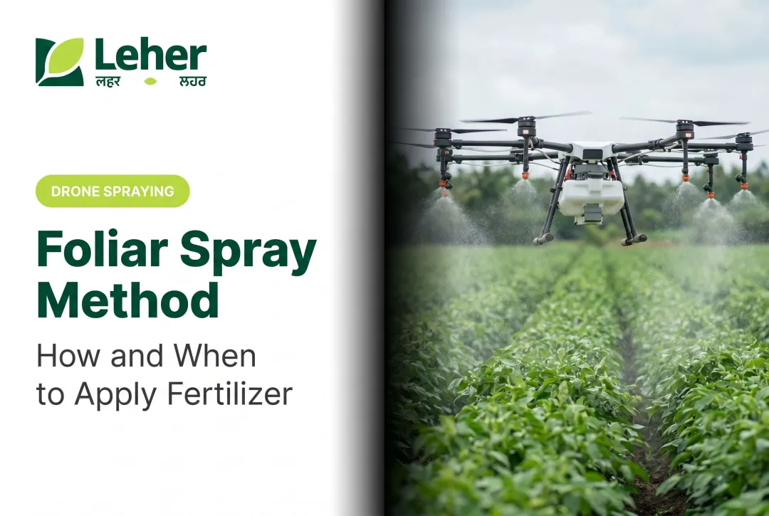 Foliar Spray Method: How and When to Apply Fertilizer
