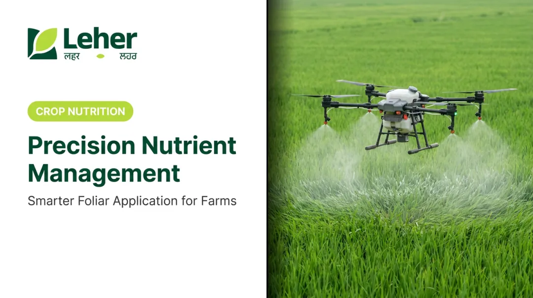 Precision Nutrient Management
