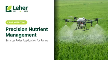 Precision Nutrient Management