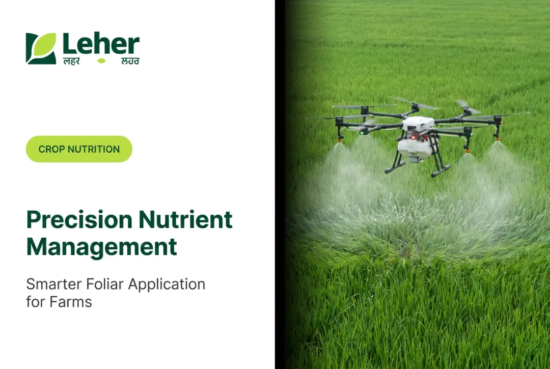 Precision Nutrient Management