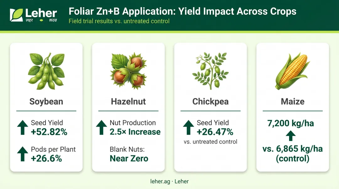 Foliar zinc boron yield improvements across soybean hazelnut chickpea and maize crops