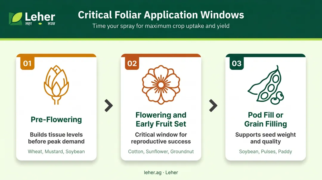 Three-stage foliar zinc boron application timing windows by crop growth stage