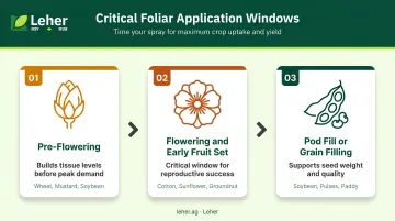 Three-stage foliar zinc boron application timing windows by crop growth stage