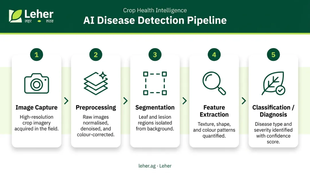 5-stage AI crop disease detection pipeline from image capture to diagnosis