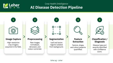 5-stage AI crop disease detection pipeline from image capture to diagnosis