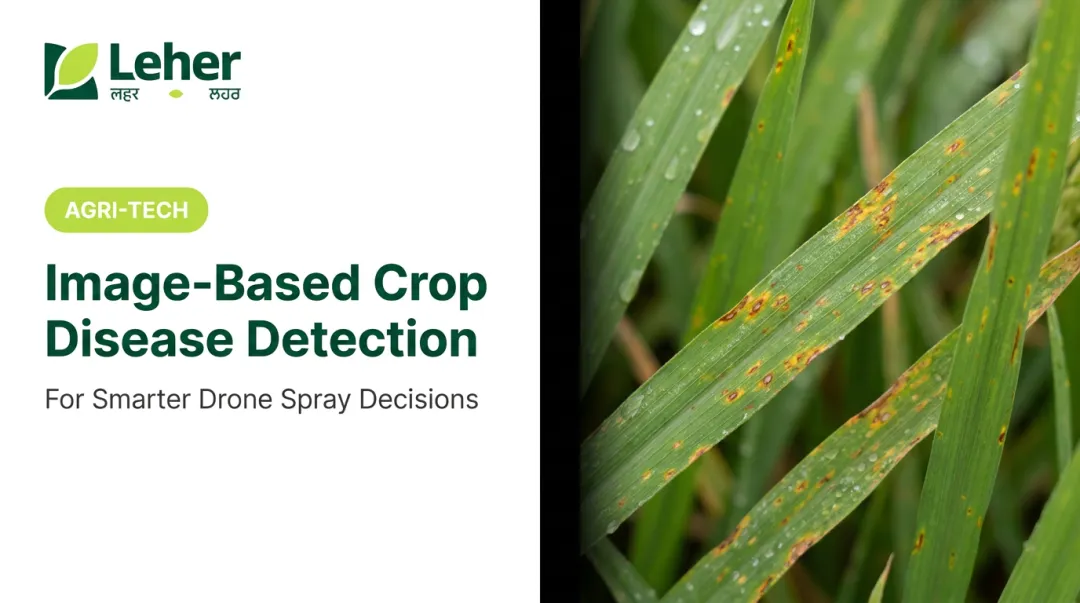 Image-Based Crop Disease Detection