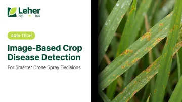 Image-Based Crop Disease Detection