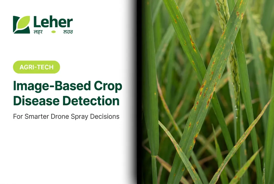 Image-Based Crop Disease Detection