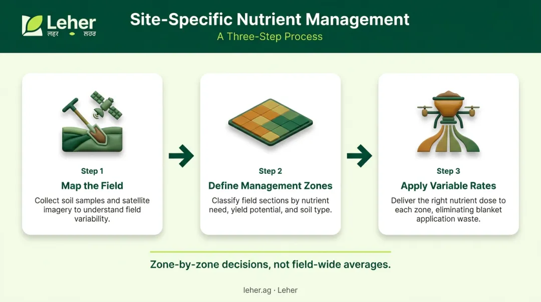Three-step site-specific nutrient management SSNM process flow infographic