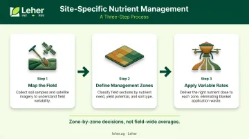 Three-step site-specific nutrient management SSNM process flow infographic