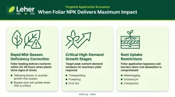 Three ideal use cases for NPK foliar fertilisation with crop scenarios