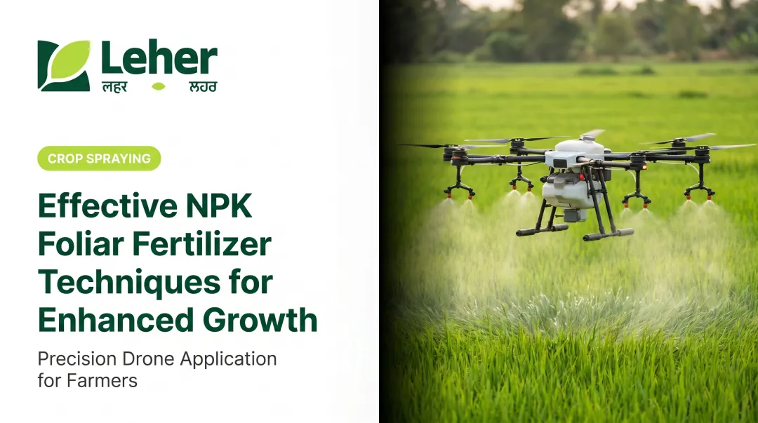 Effective NPK Foliar Fertilizer Techniques for Enhanced Growth