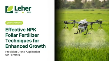 Effective NPK Foliar Fertilizer Techniques for Enhanced Growth