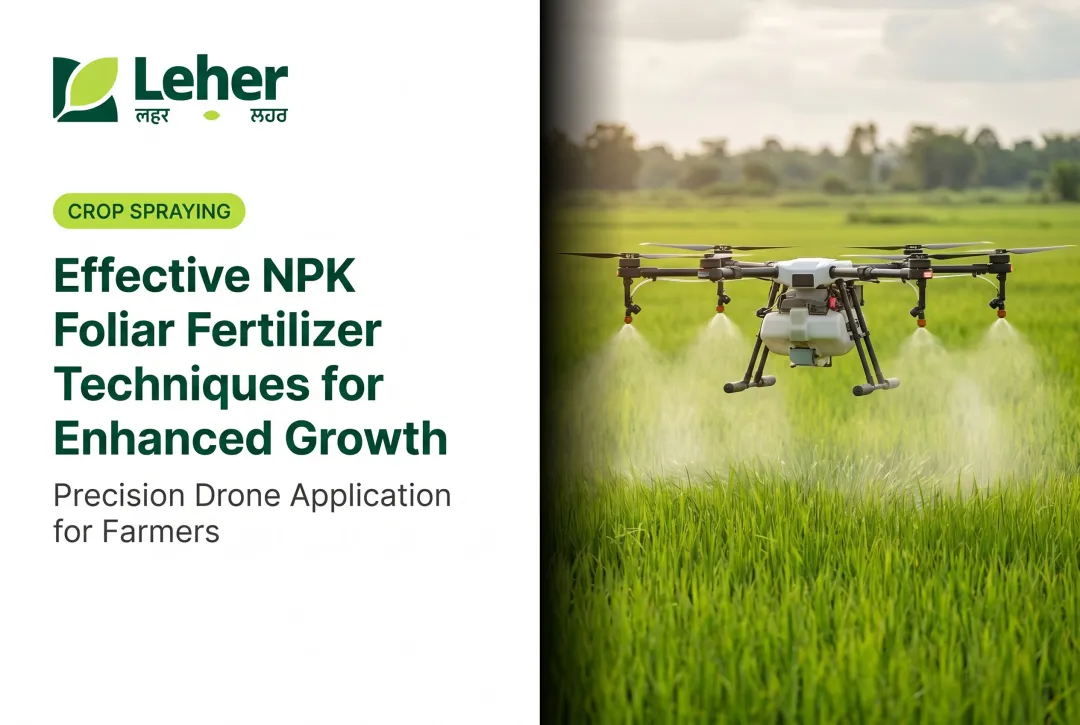 Effective NPK Foliar Fertilizer Techniques for Enhanced Growth