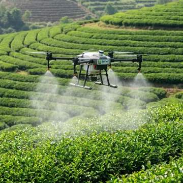 Advanced Nutrivant Foliar Fertilizers for Higher Yields