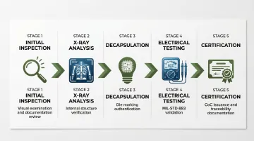 Infographic