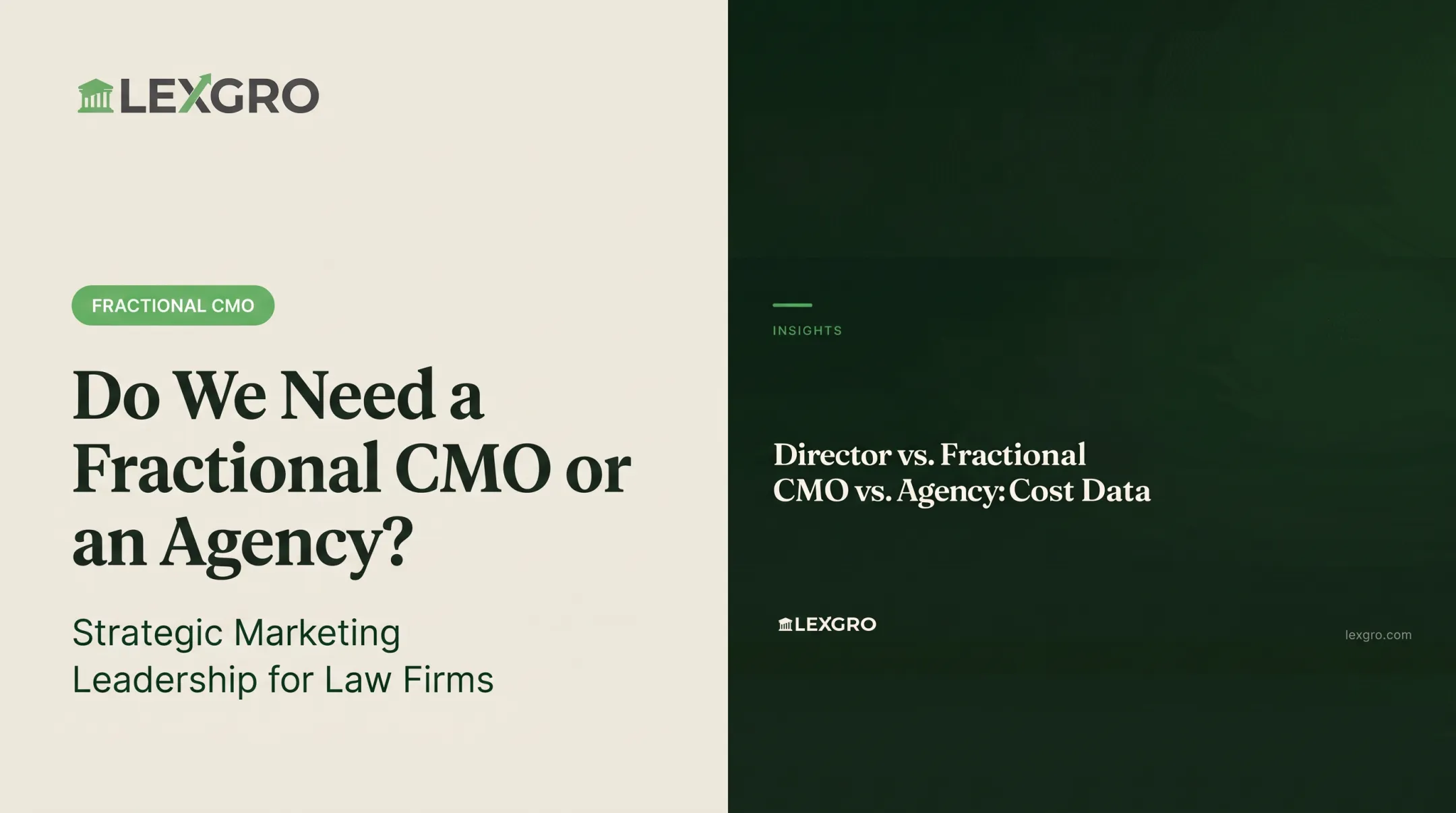 Do We Need a Fractional CMO or an Agency?