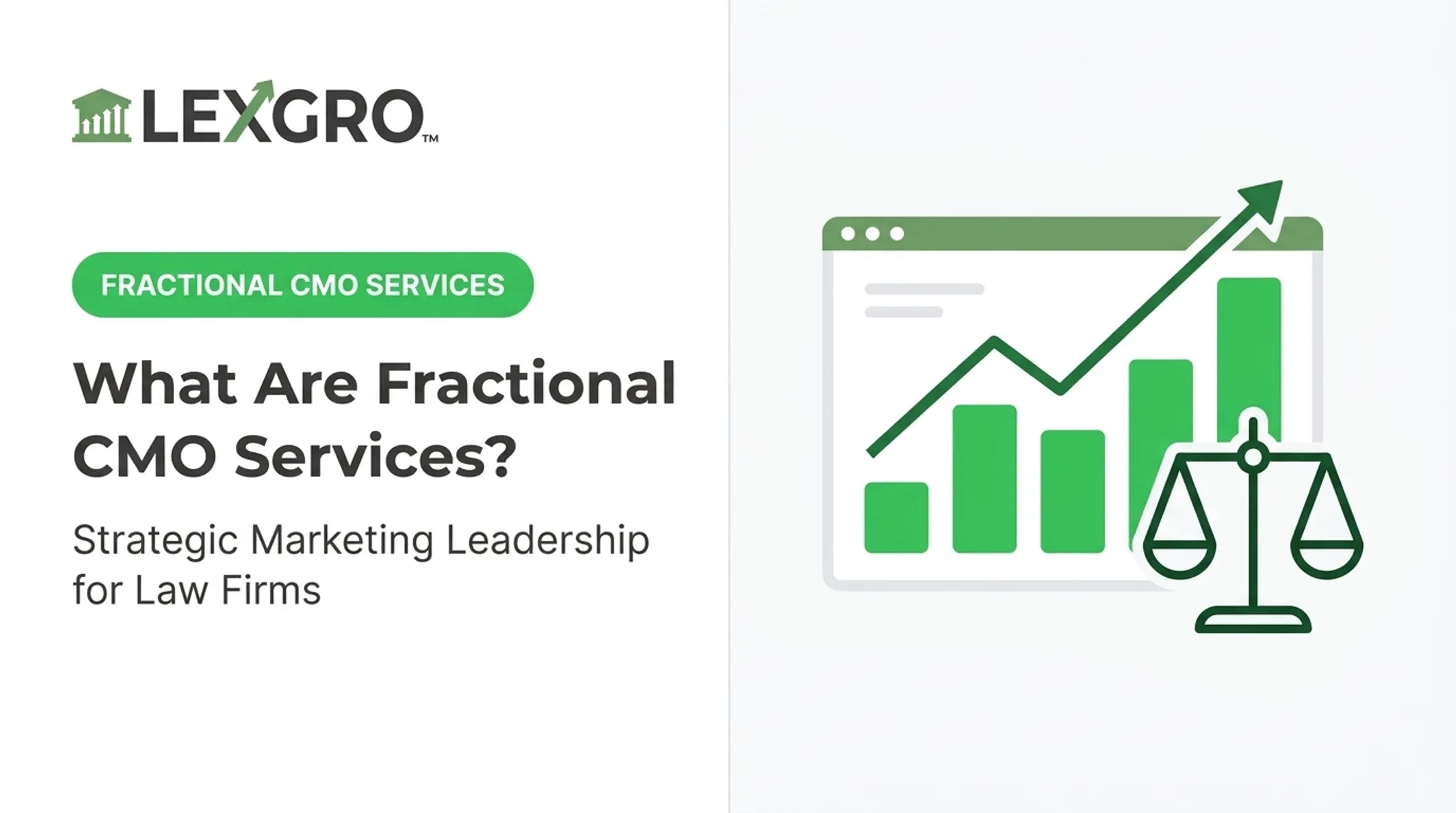 What Are Fractional CMO Services?