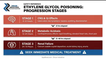 Ethylene glycol poisoning three-stage progression timeline with symptoms and organ effects