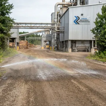 Paper Mills & Pulp Processing